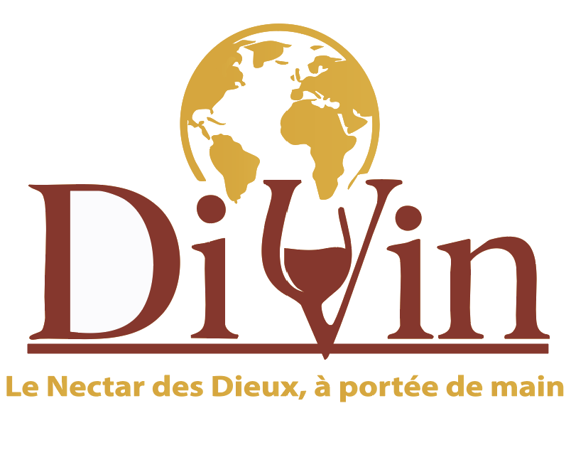 DIVIN logo
