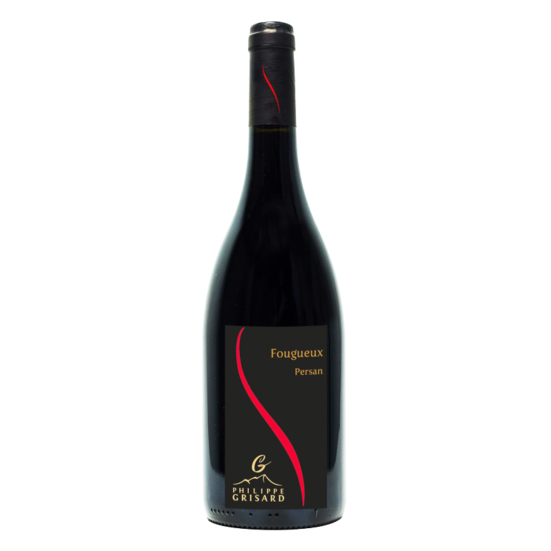 Persan “Fougueux“